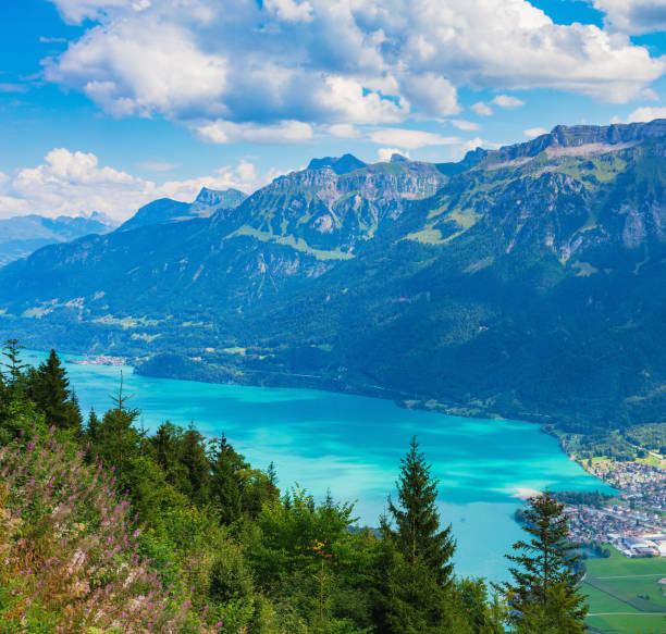 istock View from Harderkulm in Switzerland in summer 1016869134