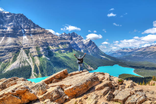 randonneur sur sommet bow surplombant le lac peyto dans le parc national de banff - vertical scenics ice canada photos et images de collection