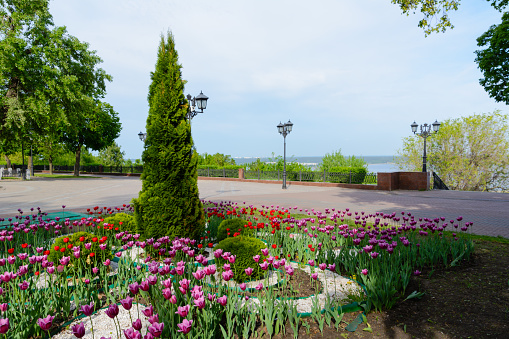Crown Avenue. Volga Embankment in Ulyanovsk, Russia. Spring.