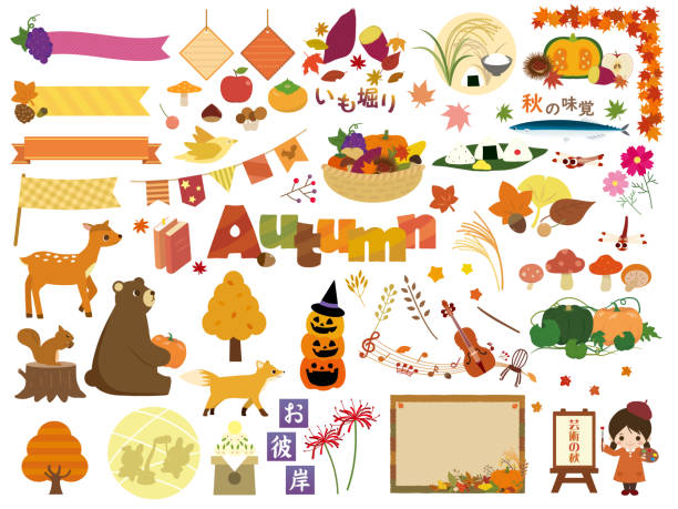 가 design6 - chestnut pumpkin leaf autumn stock illustrations