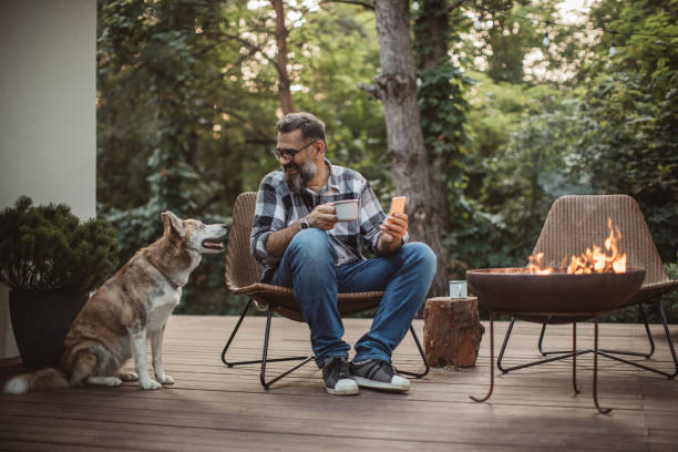 Dog Glamping Stock Photos, Pictures & Royalty-Free Images - iStock