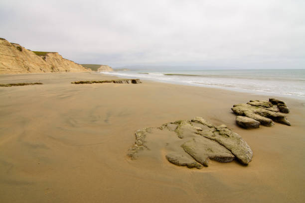 istock Calm coastline of ocean 1016887698