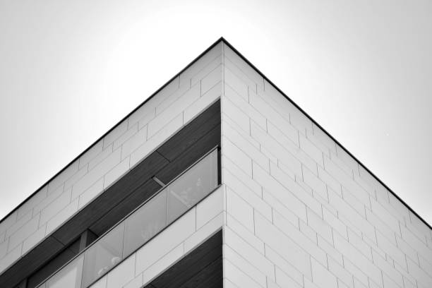 istock Modern apartment building exterior. Black and white. 1016887852