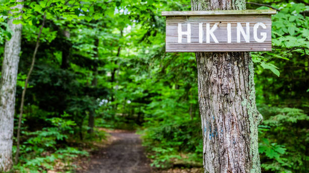istock Hiking Sign at Trail Entrance 1016892998
