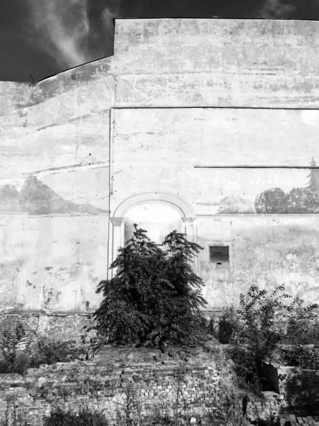 istock Wall Of Old Building 1016902566