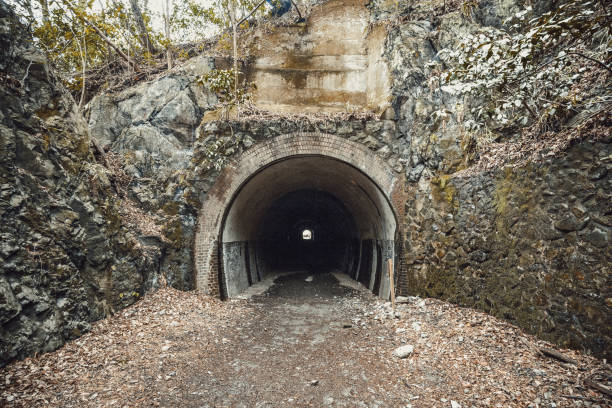 istock Old Japanese tunnel 1016912264