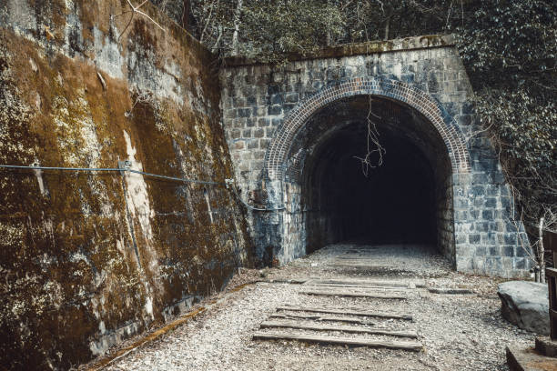 istock Old Japanese tunnel 1016912274