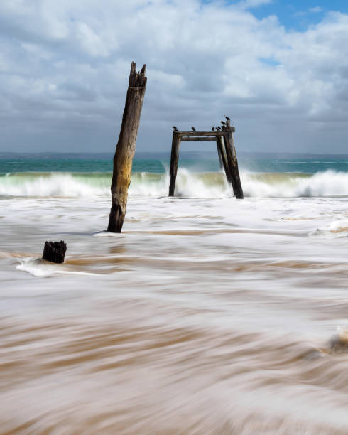 istock Phillip Island, Australia 1016912612