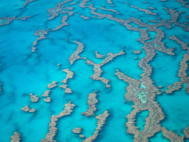 istock Great Barrier Reef, Australia 1016919522