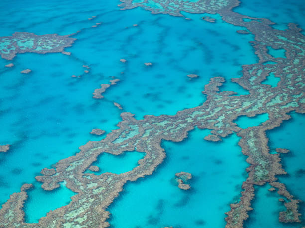 istock Great Barrier Reef, Australia 1016919524