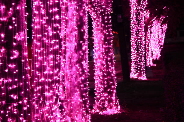 istock Night shot of pink light decoration on the perspective tree. 1016932862