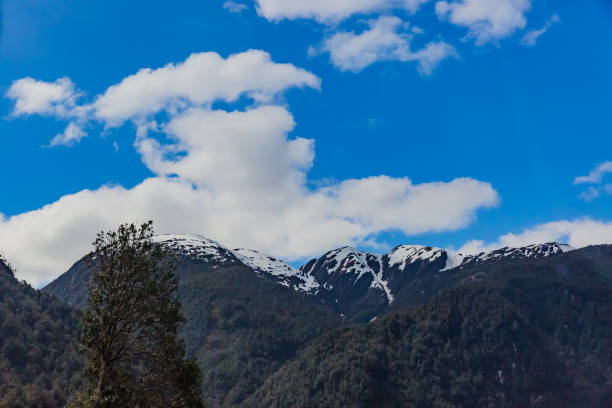 istock View of Patagonia, Chile 1016935342