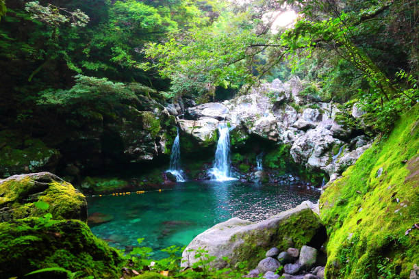 istock Wonang Waterfall, Donnaco, Mt. Hanla, Waterfall, Valley, Forest 1016937556
