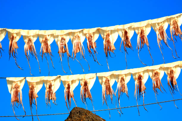 istock Squid, Sky, Wind, Sea Light, Jeju, 1016937724