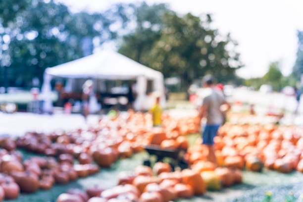 istock Abstract blurred public pumpkin patch at community church in Houston 1016940928