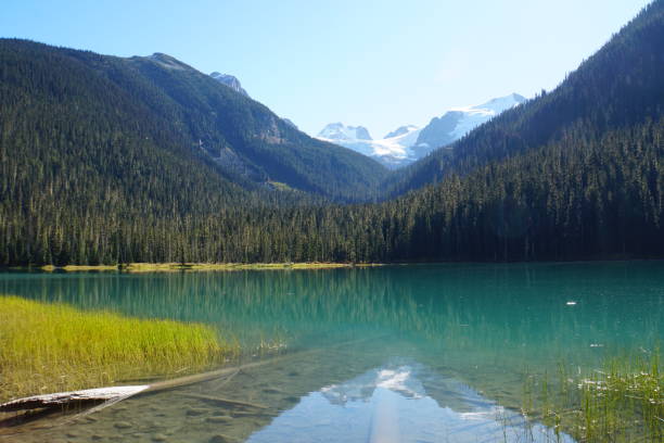 istock Lower Joffre Lake, Canada 1016943004