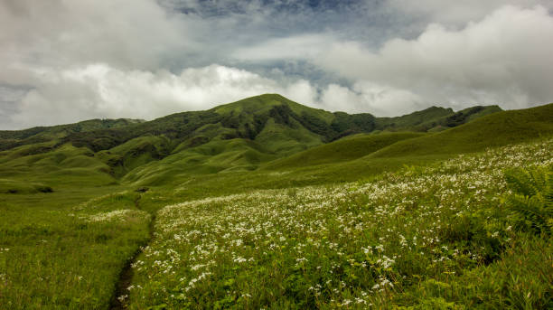 istock Dzuko valley Nagaland India 1016955934