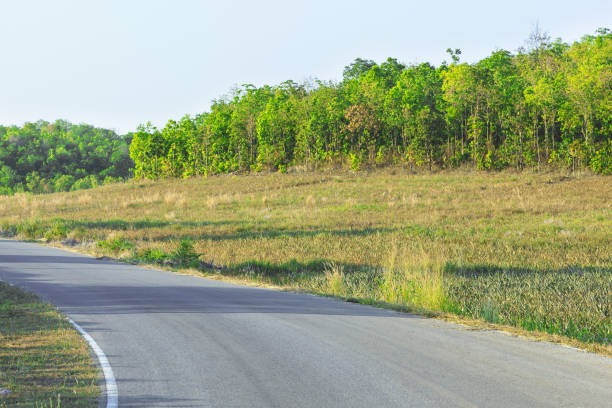 istock asphalt curve road on Countryside in Thailand 1016961466