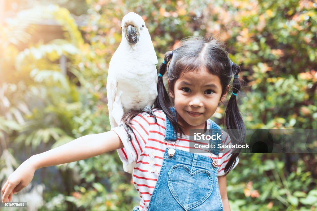 Fille enfant asiatique mignon avec perroquet Ara belle dans son épaule dans le zoo - Photo de Enfant libre de droits