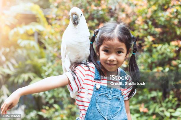 Photo libre de droit de Fille Enfant Asiatique Mignon Avec Perroquet Ara Belle Dans Son Épaule Dans Le Zoo banque d'images et plus d'images libres de droit de Enfant