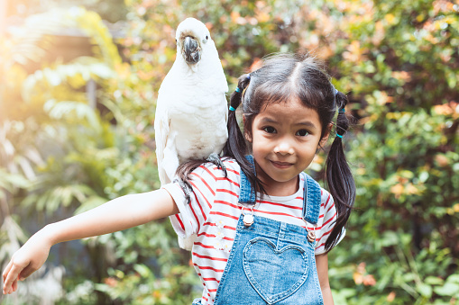 Cute asian child girl with beautiful macaw parrot in her shoulder in the zoo