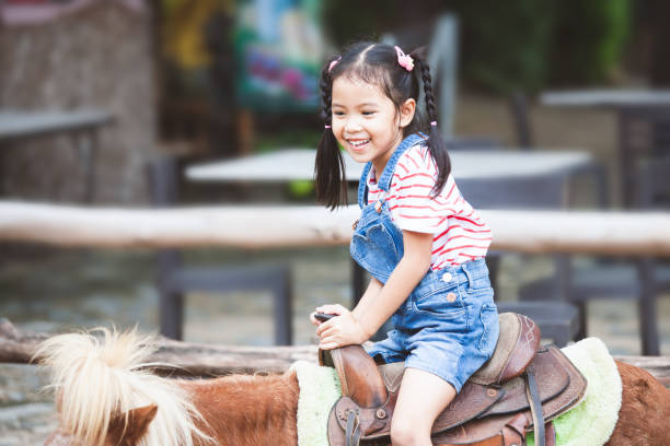 ragazza asiatica carina in sella a un pony nella fattoria con divertimento - horse child pony little girls foto e immagini stock