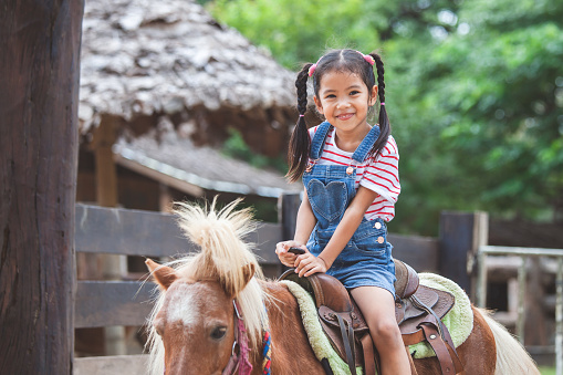 Young Girl Riding a Horse