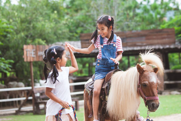 Cute asian child girl riding a pony and making hi five gesture with her elder sister stock photo