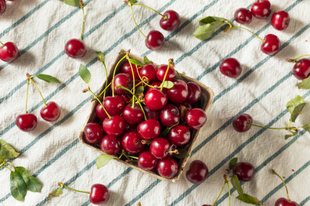 istock Raw Red Organic Tart Cherries 1016975882