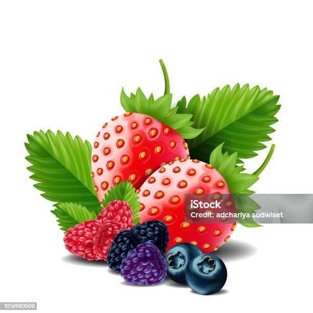 Sweet Berries Mix Isolated On White Background Ripe Raspberries Strawberries And Blueberries Vector Illustration Stock Illustration - Download Image Now