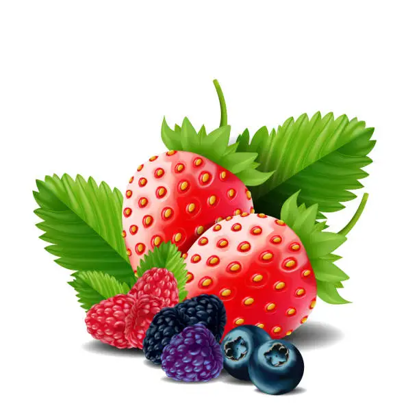 Vector illustration of Sweet berries mix isolated on white background. Ripe raspberries, Strawberries and blueberries. vector illustration.