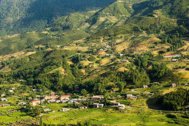 istock Rice terrace in Sapa Vietnam 1016981320
