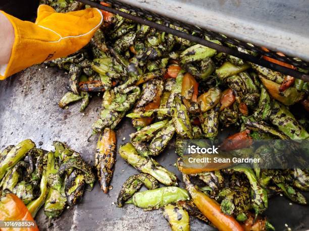 New Mexico Green Chile Being Poured Out Of A Roaster Stock Photo - Download Image Now