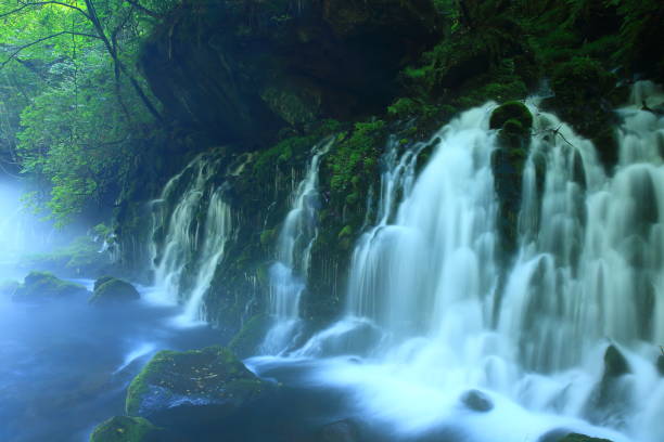 istock Summer former falls underwater water 1016990958