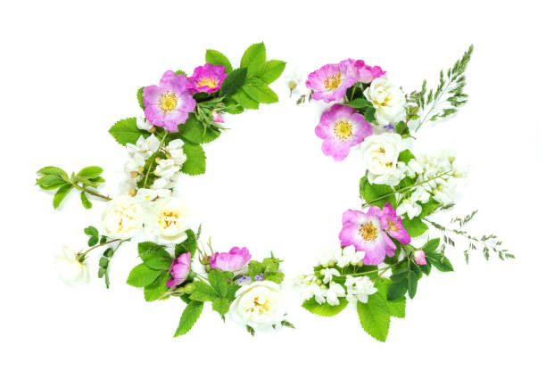 istock Wreath of wild flowers 1016991150