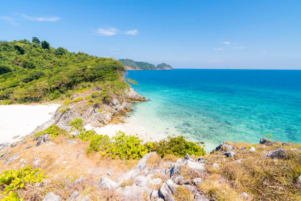 istock Tropical white sand beach Aerial 1016991272