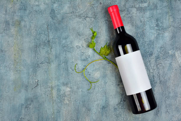istock Flat lay of lying organic red wine bottle with white empty label and green vine 1016998724