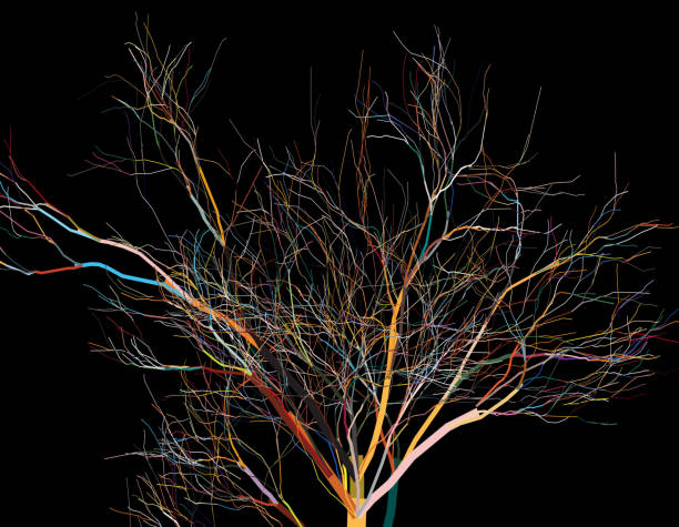 Tree Tree light through trees stock illustrations