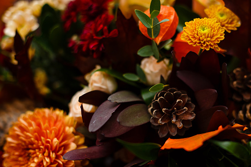 Cerca de una composición de otoño con una calabaza amarilla, una bellota, roja flor de otoño y un cono photo