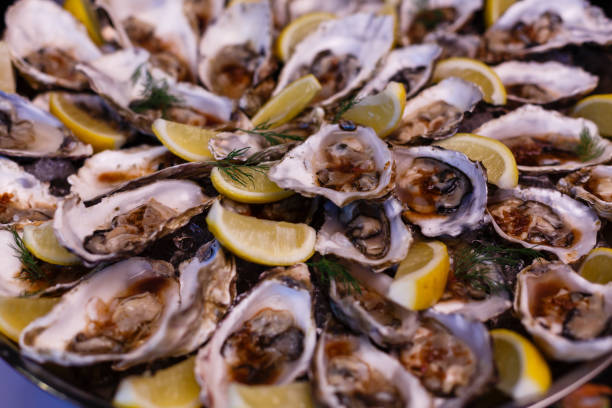 istock many opened oysters on plate top view close up 1017024494