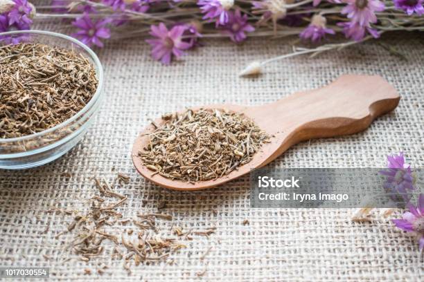 Dried Valerian Roots In Wooden Spoon On Sackcloth Background Valeriana Officinalis Caprifoliaceae In Herbal Medicine Valerian Root For Anxiety And Sleep Valerian Extracts As Nutritional Supplement For Health Stock Photo - Download Image Now