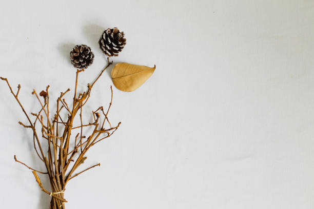 istock Autumn and Winter themed Background 1017043664