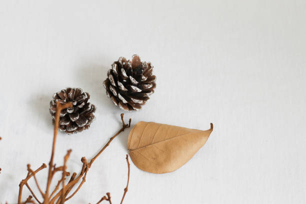 istock Autumn and Winter themed Background 1017043732