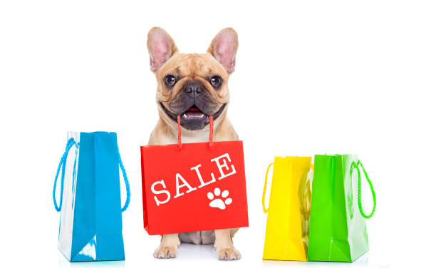 istock sale shopping dog 1017046104