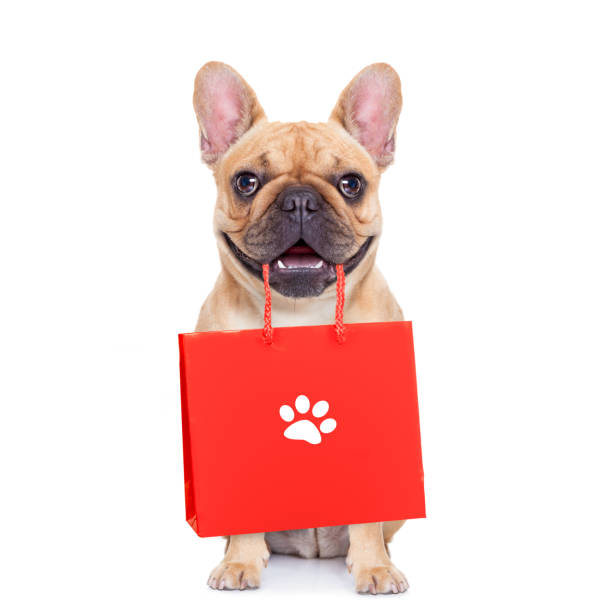 sale shopping dog french bulldog  dog with shopping bags ready for discount and sale at the  mall, isolated on white background holding shopping basket stock pictures, royalty-free photos & images