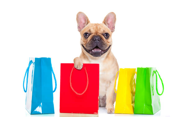 istock sale shopping dog 1017046176