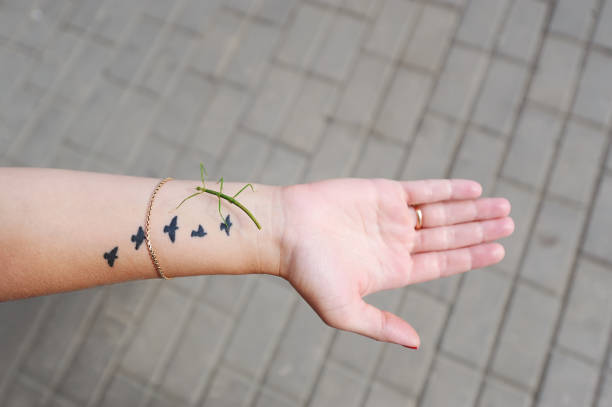 istock Green grasshopper sitting on a hand. 1017046276