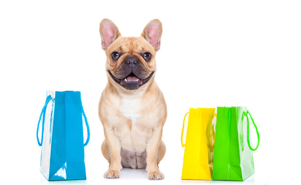 istock sale shopping dog 1017046464