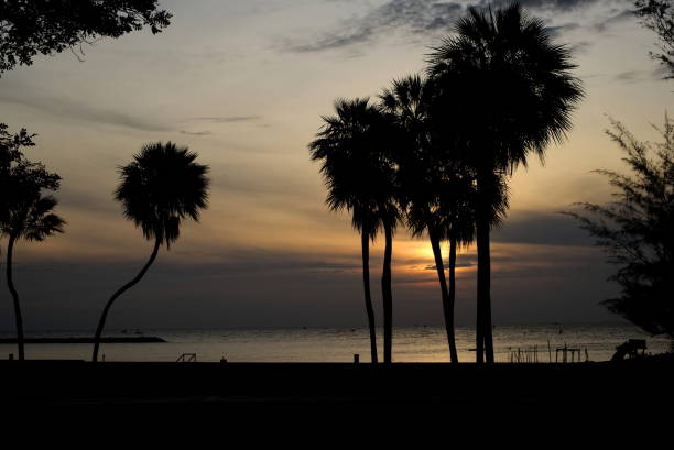 istock Beach Scene at Sunrise in Silhouette 1017049476