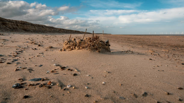 great yarmouth beach, norfolk, inghilterra, regno unito - sandcastle beach norfolk sand foto e immagini stock
